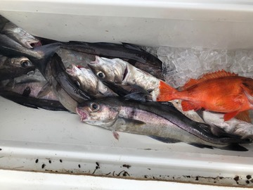 Ground Fishing Trip 6HR