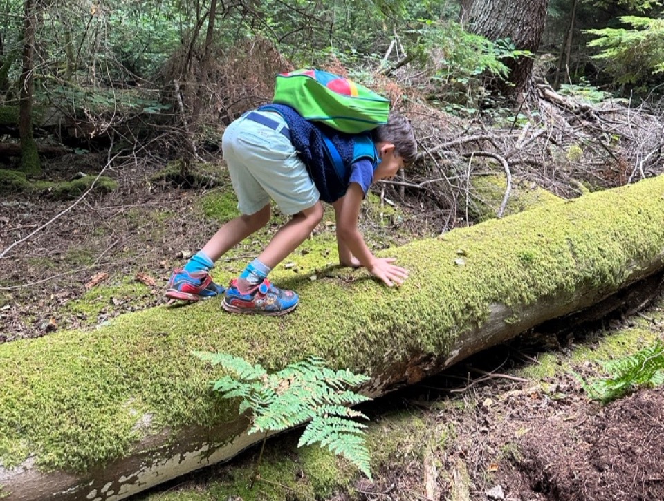 Puyallup Parks and Rec Day Camp Elementary School Sahale Outdoors