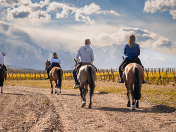 Ranch Trail Rides