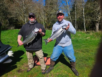 Spring Chinook