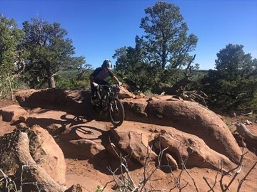 EPIC Point-to-Point Guided MTB Day Ride - private