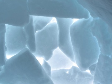 Avalanche Companion Rescue Course