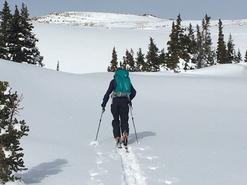 Avalanche Rec Level 2