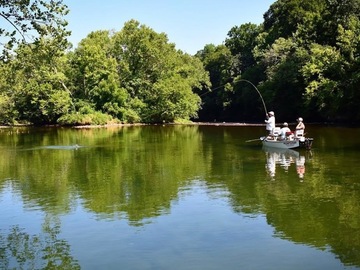 Half Day Float Trip: Tennessee (1-2 Anglers Per Boat)