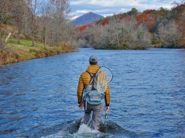 Half Day Fly Fishing - Wade Trip 