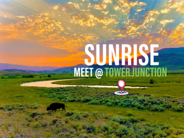 Sunrise Wildlife Tour (Meet at Roosevelt Tower Junction) 