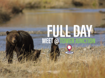 Full Day Wildlife Tour (Meet at Roosevelt Tower Junction)