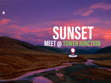 Sunset Wildlife Tour (Meet at Roosevelt Tower Junction)