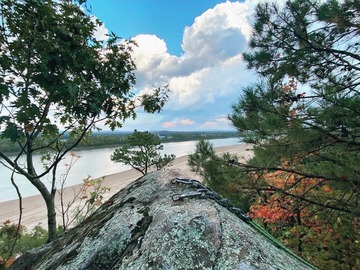 Half Day Rappelling Trip - Dardanelle Rock