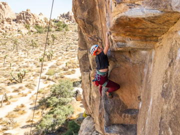 Rock Climbing - Half Day (Joshua Tree) Single Pitch