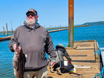 Ling Cod and Sea Bass Bottom Fishing
